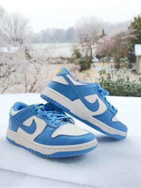 Nike Low-Top Sneakers “Coast” Dunks